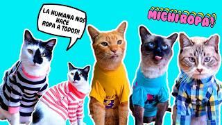 RETO: Como hice esta ROPA para mis GATOS muy FACIL y ECONÓMICO!! 