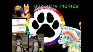 gay furry memes review