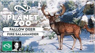 ▶ Fallow Deer, Salamander, Lynx, Coaches & more | Screenshot Reveals | Planet Zoo Europe Pack |