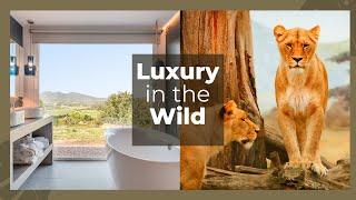Exploring The Top 10 Luxury Safari Lodges in Africa 2024!