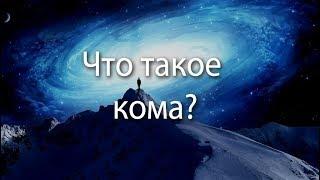 241 Что такое кома?