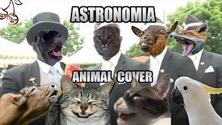 Coffin Dance but it's sounds like animals [Tony Igy - Astronomia (Animal Cover)]