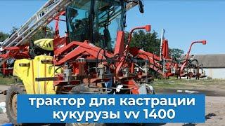 Самоходный трактор для кастрации кукурузы vv 1400 от компании Vermande. Кастрация кукурузы в 2021 г