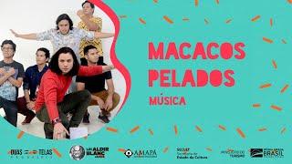 MACACOS PELADOS