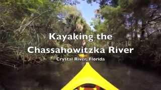 Kayaking the Chassahowitzka River in Florida