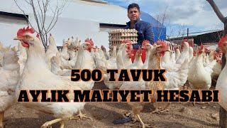 500 TAVUK AYLIK MALİYET HESABI |1 AYLIK KÜMES GIDERLERIMIZ NEKADAR? #gezentavuk