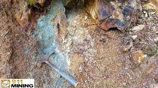 Ultra High Grade Gold Vein In A Heavily Mineralized Outcrop!