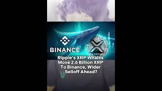 Ripple’s XRP Whales Move 2.6 Billion XRP To Binance, Wider Selloff Ahead?