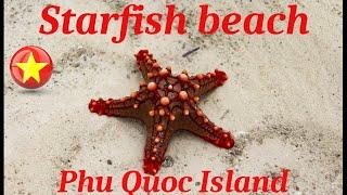 Starfish beach Phu Quoc Island (Vietnam)