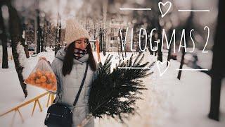 VLOGMAS #2 // ВЛОГМАС // КНИГИ В FIX PRICE // ПОКУПАЕМ ЖИВУЮ ЕЛКУ ️