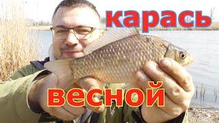 Подобрал ключик к весеннему карасю. Ловля карася по холодной воде весной. Карась на фидер в апреле