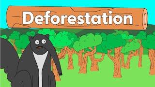 What is Deforestation?