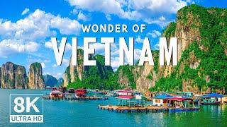 Wonders of VietNam - The Most Amazing Places in VietNam - Travel Video 8K