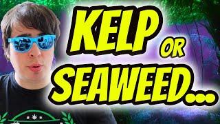 THE BIGGEST MISCONCEPTION ABOUT KELP AND SEAWEED THAT WILL AFFECT YOUR GARDEN!