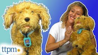 Meet Moji the Lovable Labradoodle! | My Fuzzy Friends from Skyrocket Toys