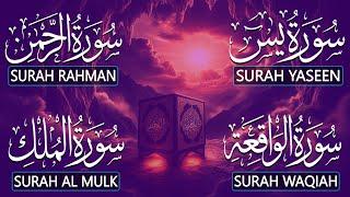 Best Quran Tilawat Surah Yaseen (Yasin) | Surah Rahman | Surah Waqiah | Surah Mulk | Ep21