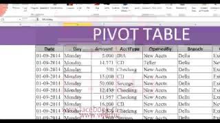 Excel in Hindi - Learn Pivot Table in Excel 2010