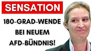 Orbán & FPÖ gründen neue Fraktion! Kommt AfD dazu? ID-Fraktion bricht zusammen!