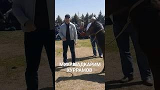 16.03.2024 МУХАММАДКАРИМ ХУРРАМОВГА ХОКИМ БОБО ТОЙ СОВГА КИЛДИ. #рекомендация #шортс #sport