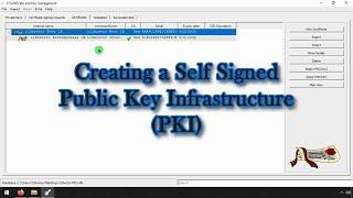 Creating a Self-Signed Public Key Infrastructure (PKI) for certificate creation [SSL, OpenVPN]