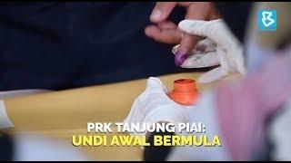 PRK Tanjung Piai: undi awal bermula