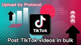 TikTok Upload Video Bot--How to Bulk Upload Videos to TikTok via API