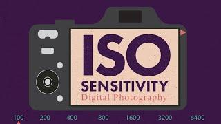 ISO Sensitivity