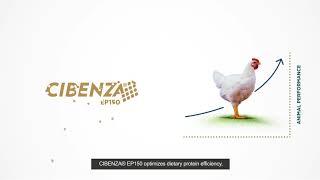 CIBENZA® EP150 Feed Additive of Protease