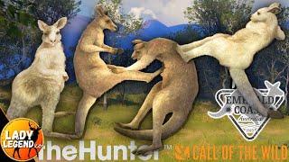 WE HIT the KANGAROOS JACKPOT!!!  DIAMOND & TWO LEUCISTICS!!! - Call of the Wild Early Access