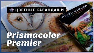 ЦВЕТНЫЕ КАРАНДАШИ | Мое мнение o Prismacolor Premier