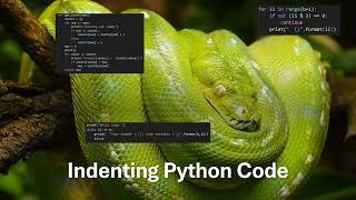 Indentation in Python - Yes, Whitespace Matters!
