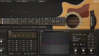 Ample Guitar Taylor | Strumming Editor