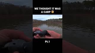 HUGE BASS CAUGHT IN TOURNAMENT  Pt.1 #tournamentfishing #bassfishing #bigbass #shorts