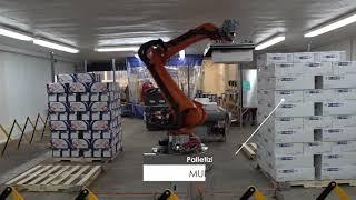 Cube Automation - Palletizing Robot