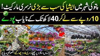 Asia's Biggest Flower Market In Pattoki “The City of Flowers" | Discover Pakistan