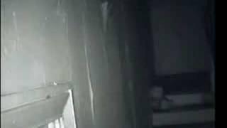 Orbs caught in PGHC GhostHunterz room