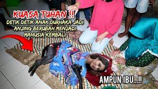  VIRAL !! AZAB ANAK DURHAKA,ANJING BERWAJAH MANUSIA MEMOHON AMPUN DIHADAPAN IBU KANDUNGNYA