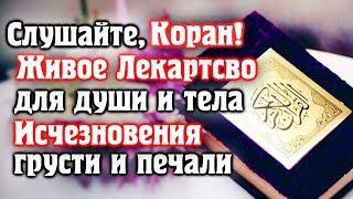 СЛУШАЙТЕ КОРАН, ИСЧЕЗНОВЕНИЯ ГРУСТИ И ПЕЧАЛИ  ЖИВОЕ ЛЕКАРСТВО ДЛЯ ДУШИ И ТЕЛА