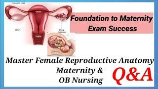 OB Nursing, maternity ,labor & Female Anatomy Questions with answer :Build the Right Foundation&Pass