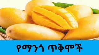 የ ማንጎ ጥቅሞች//Benefits of Mango/Tamex Media/ታሜክስ ሚዲያ