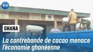 Ghana : Le cacao, une richesse en péril face à la contrebande