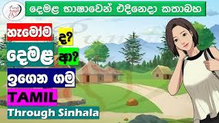 Let's learn Tamil | Punchi Danuma