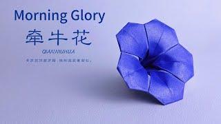 How To Make A Paper Flower Easy Origami Display Flower - Morning Glory : Step By Step Craft Tutorial