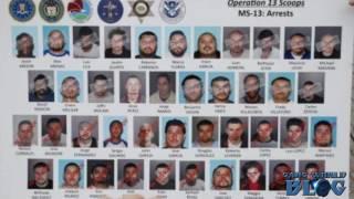 MS-13 Targeted in biggest Gang Raid in Los Angeles History