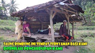 Kampung Cigembong Mengingatkanku Saat Menjadi Bocah Angon Domba.