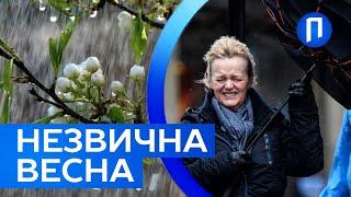 Дощі, вітер та АНОМАЛІЯ: прогноз ПОГОДИ на ВЕСНУ 2025 | Синоптикиня НАЖИВО | Подробиці