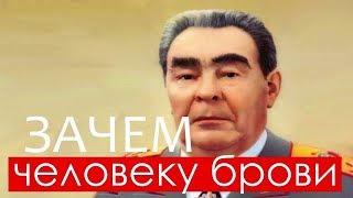 Зачем нужны брови человеку?