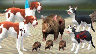 Giant Zombie Cat Vs Big Dog Saved Little Rat Animals Battle Revolt Fight Dog Vs Zombie Cat