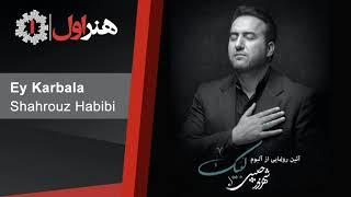Shahrouze Habibi - Ey Karbala | شهروز حبیبی - ای کربلا