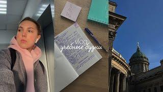 будни студента Герцена | лекции, репетиции, питание